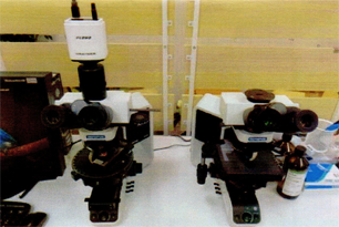 偏光顕微鏡（左）／位相差顕微鏡（右）